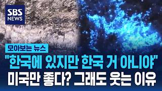 한국에 있지만 한국 거 아니야..미국만 좋다? 그래도 웃는 이유 / SBS / 모아보는 뉴스