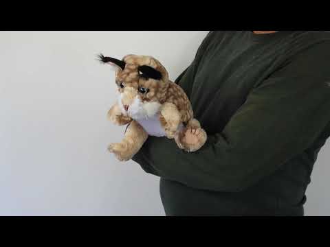 BOBCAT KITTEN HAND PUPPET