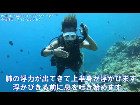 PADIダイビングライセンス講習 中性浮力 フィンピボット 沖縄