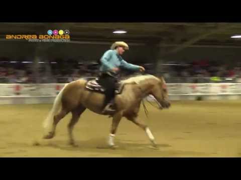 Affiliate Regional & Futurity MANUCCI ANDREA  & GREAT BLONDWHIZ