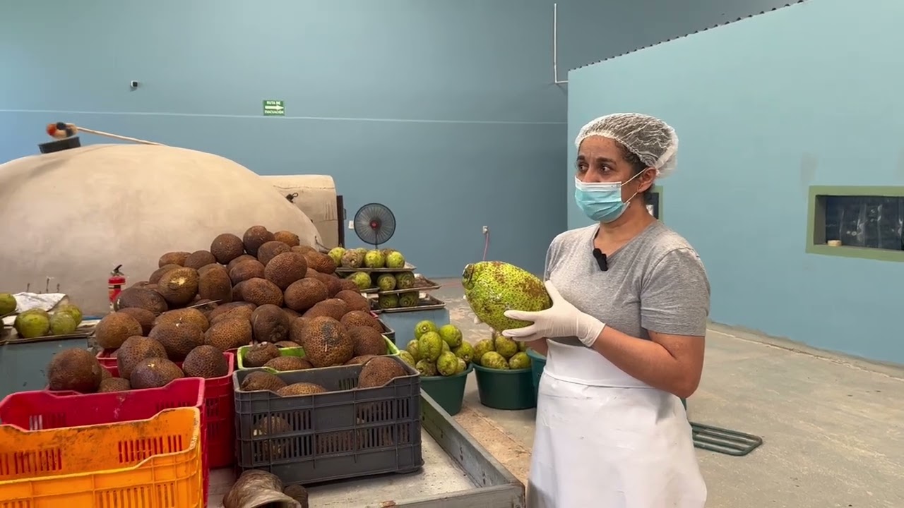 Breadfruit baking