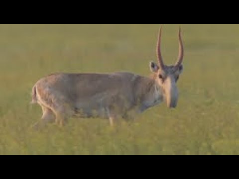 Орыс порно видео жеке жаңа