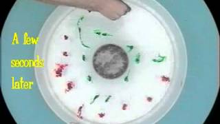 Experiment XI: Baroclinic Instability of the Thermal Wind (Eddies)