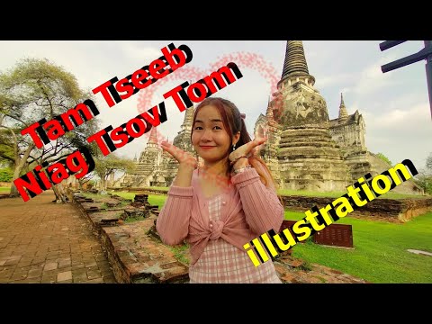 Tam tseeb niag tsov tom-illustration(ua piv txwv)