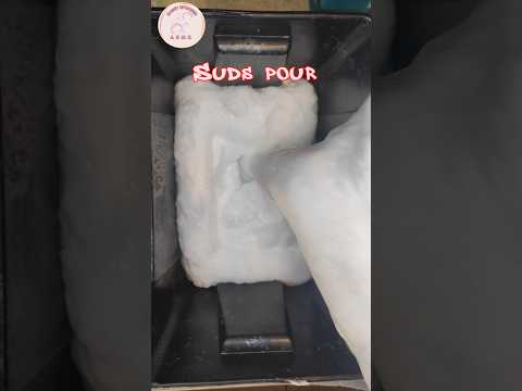 Thick suds pour☁️🤍☁️ Satisfying ASMR #shorts #asmrsponge #pouring #spongesqueezing