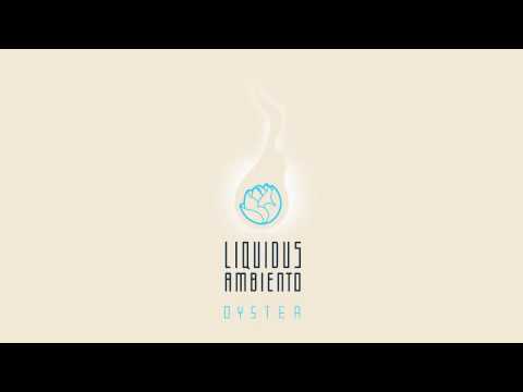 Liquidus Ambiento - Feel The Bass - feat.:: André Edipo