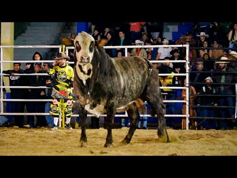 FINAL DISPUTE in BULLS | BARRA DO TURVO-SP Rodeo 2025