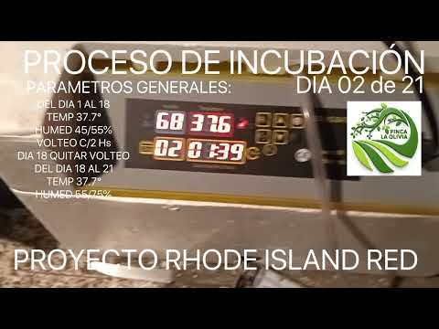 PROCESO DE INCUBACIÓN DIA 02/21 a 03/21