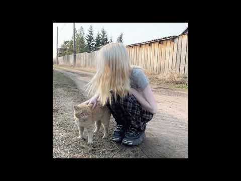 [FREE] blxty x Senses x funeral Hyperpop Type Beat | "awful" (Prod. levithareal)