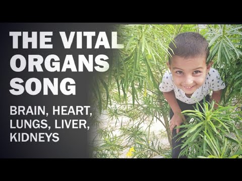 Vital Organs Song by little star Dilpreet Nangli