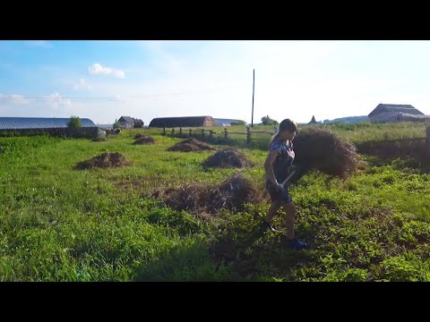 HAYMOWING. MAKING OUR OWN BUTTER. BAKING VATRUSHKA. FROM CITY TO VILLAGE - REBOOT Episode 513