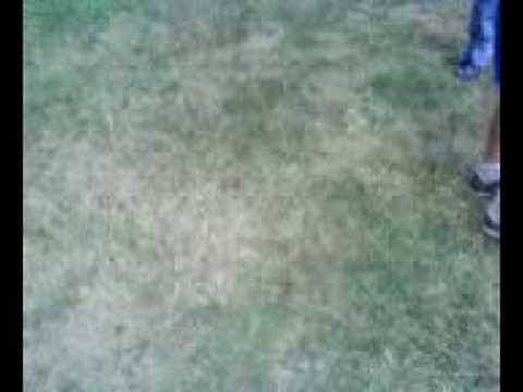 Rayan Bästa Fotboll Spelaren