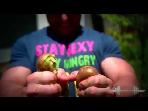 Jarlex ❌ kiwi (Official Video)