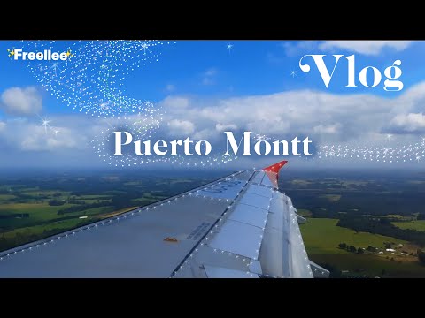 Tome una Decisión, voy por mis sueños | Freellee Vlog 9 • Marzo • 2022