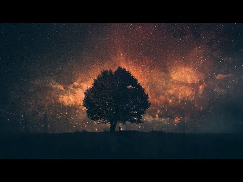 Whitesand - Fallen Kingdom