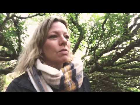 The old you & New You (Sancreed Holy Well, Cornwall, England)