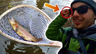 We Were Catching TROUT And Then THIS HAPPENED!!! Spring Trout Fishing!