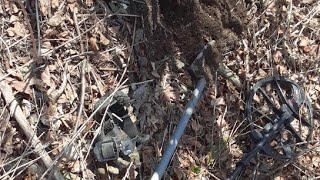 metal detecting ocean beaches