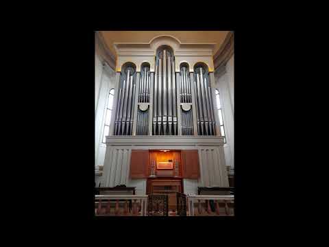 Riccardo Gnudi plays the 2000 Kuhn/Hradetzky organ at Treviso Cathedral (Italy)