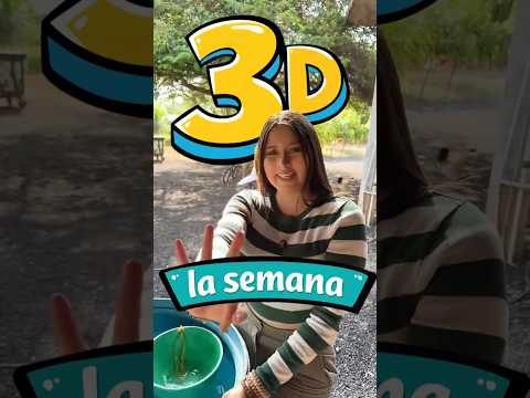 Sistema Nacional de Gestión del Riesgo de Desastres