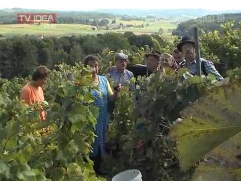 Künštni Prleki - Brotva