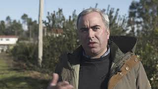 NOVAFLORESTA - Faixas de Gestão de Combustível