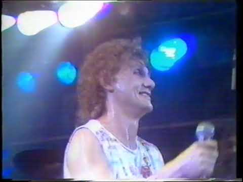 1982 Veronica's Popnight diverse artiesten grande finale