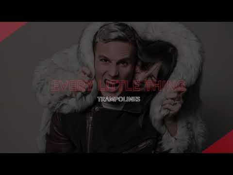 Thumbnail for Every Little Thing video