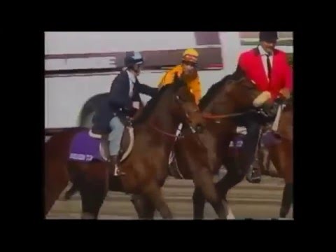 1993 Breeders' Cup Mile - Lure