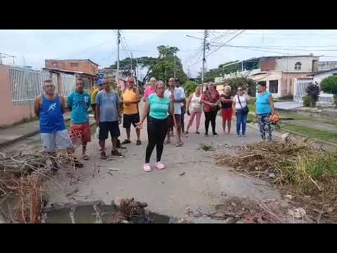 Caña de azúcar .Mario briceño iragorry ,Aragua ,Venezuela. .......