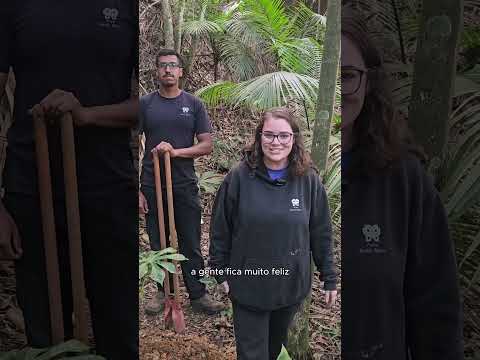 Plante uma Árvore: projeto do Parque Burle Marx, em São Paulo.