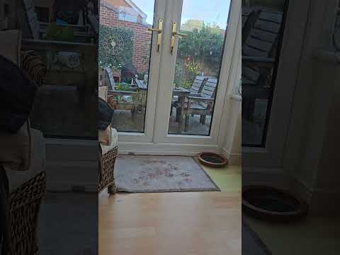 Varjo Aero - need to dial it in