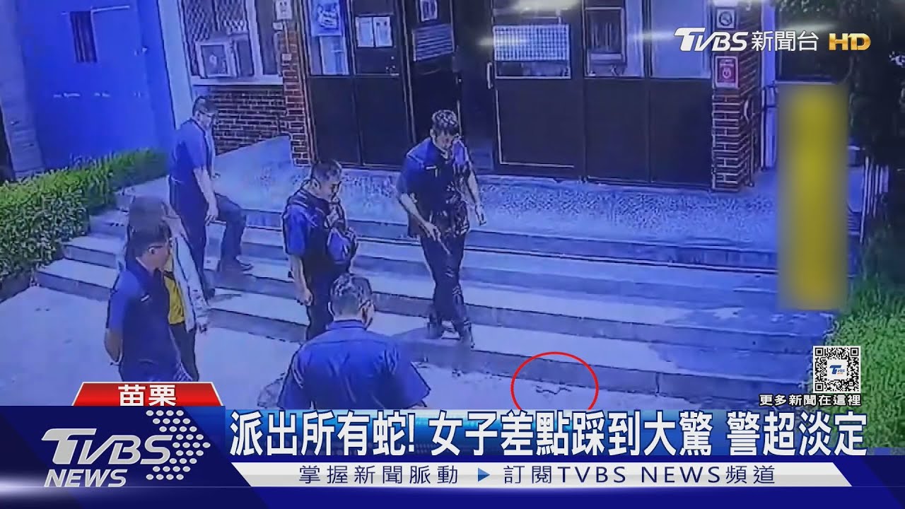 派出所有蛇!女子差點踩到大驚 警超淡定