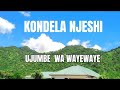 271 KONDELA NJESHI UJUMBE WA WAYEWAYE MBASHA STUDIO 2025