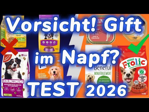 10 Schlimmste Hundefutter Marken in Deutschland ⚠️ (2025-2026 Test)