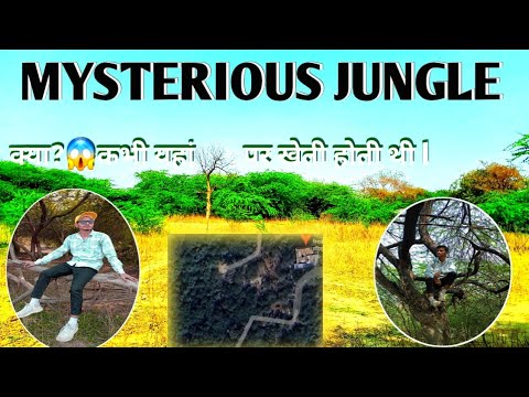 अखिर इस घने जंगलों में कैसे लोग रहते होगे |MYSTERIOUS JUNGLE😱 रहस्मय जंगल | एक विरान खेत | कहाँ गाए?