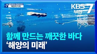 [부산KBS 뉴스7] 함께 만드는 깨끗한 바다 ‘해양의 미래’