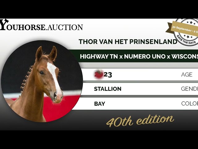 Thor van het Prinsenland