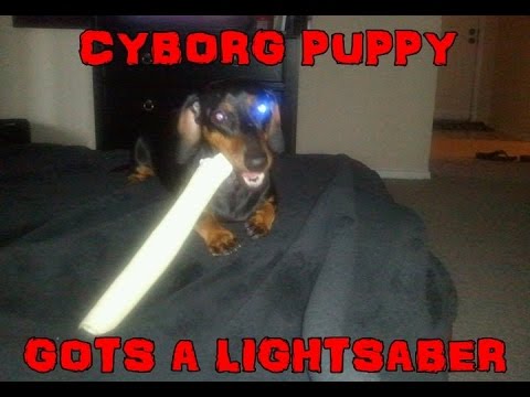 DPCon15 uncon talk: How cyborg puppies can sniff out code smell