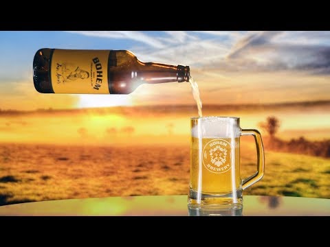 4.9% beer | PILSNER | the best beer to drink | Bohemian lager