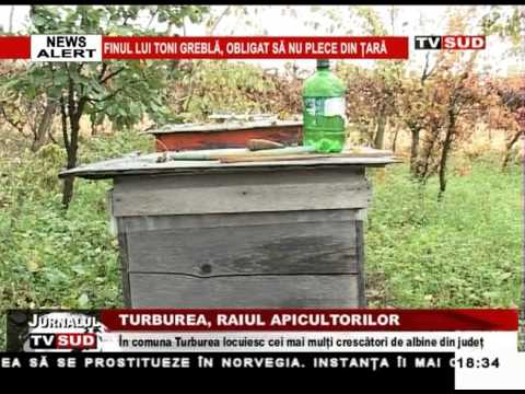 turburea, raiul apicultorilor