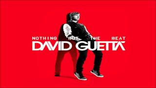 David Guetta - The Alphabeat [NOTHING BUT THE BEAT] 2011