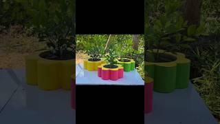 Download lagu #short #video #viral | #61 mp3 Download lagu #short #video #viral | #61 mp3