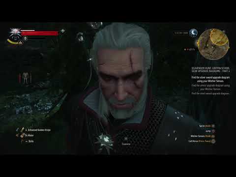 The Witcher 3 Wild Hunt pt 98 Master Griffin