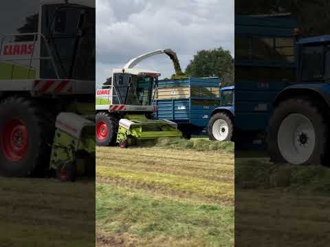 TM140 silage 2023 #grass #grassmen #silage #silage2023 #tractor #tractorvideo