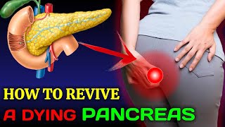 6 Signs Your Pancreas Is Crying Out for Help & How to Heal It Naturally