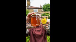 How to make vegan honey using dandelions! #shorts #vegan #honey