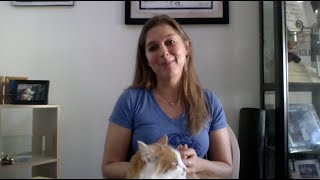 Follow-Up Like a Professional - Never forget the details