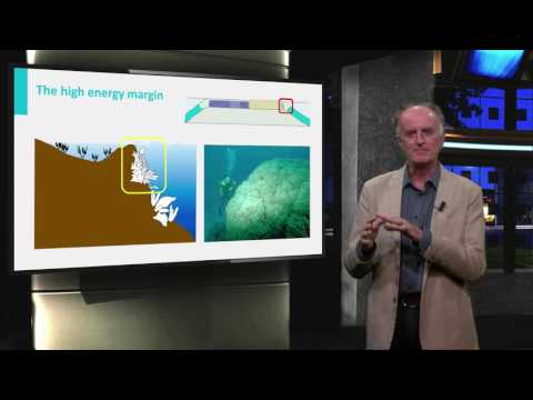 GEO101x_2016_IV.3.3_Rimmed_platforms