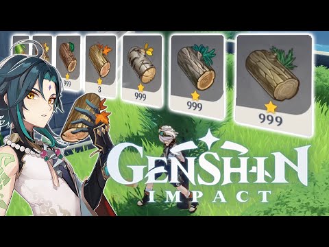 Best Places To Farm Wood (Genshin Impact)